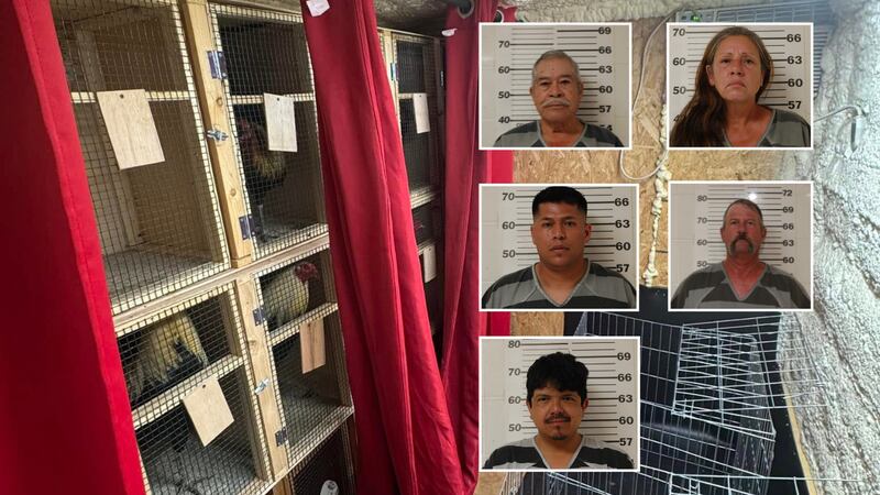 9 personas arrestadas durante una presunta pelea de gallos en el este de Texas
