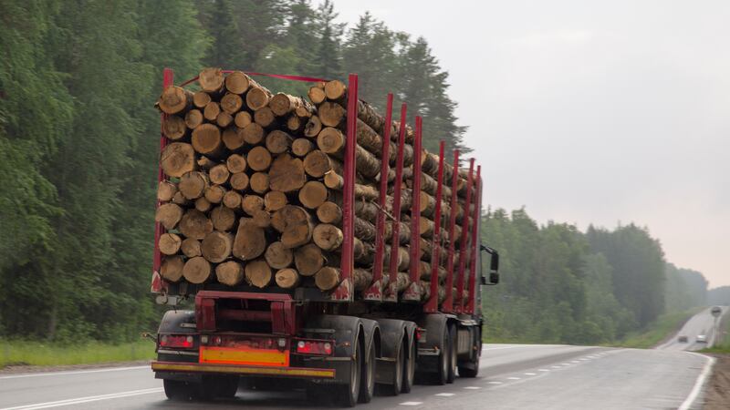 Las autoridades dijeron que la conductora no mantuvo una distancia prudencial del camión