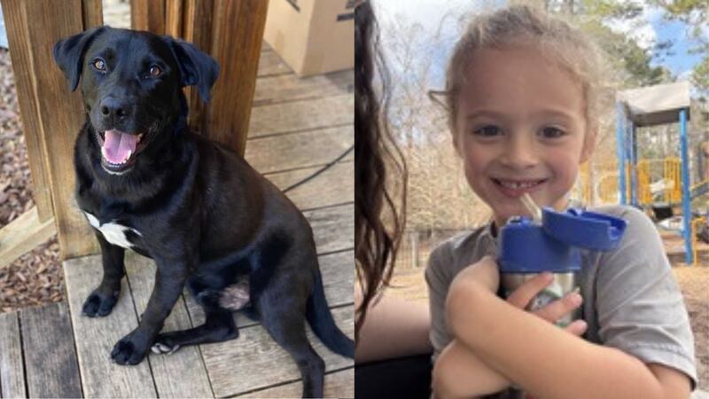 Johnathan Everett Boley, 4, and his dog went missing on New Year's Eve in Walker County, Alabama.