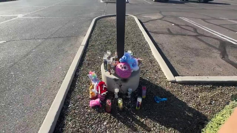 La policía de Phoenix dice que dos conductores estuvieron involucrados en una pelea física en...