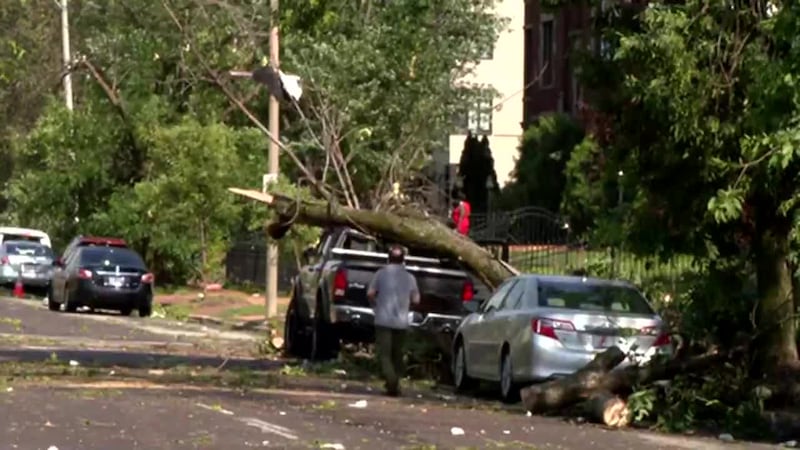 En el 2025 la naturaleza no dio tregua. Incendios, tormentas e inundaciones afectaron a...